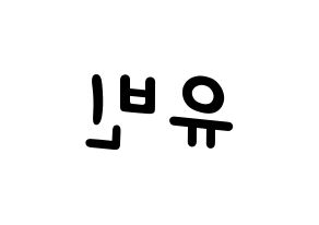 KPOP idol NATURE  채빈 (Choi Yu-bin, Chaebin) Printable Hangul name fan sign, fanboard resources for light sticks Reversed