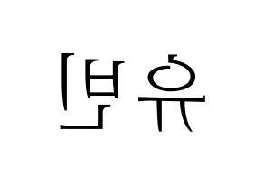 KPOP idol NATURE  채빈 (Choi Yu-bin, Chaebin) Printable Hangul name fan sign & fan board resources Reversed