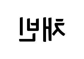 KPOP idol NATURE  채빈 (Choi Yu-bin, Chaebin) Printable Hangul name fan sign, fanboard resources for concert Reversed