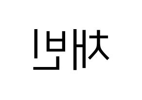 KPOP idol NATURE  채빈 (Choi Yu-bin, Chaebin) Printable Hangul name fan sign, fanboard resources for LED Reversed
