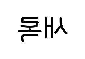 KPOP idol NATURE  새봄 (Kim Sae-bom, Saebom) Printable Hangul name Fansign Fanboard resources for concert Reversed