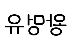 KPOP idol NATURE  오로라 (Wang Meng-yu, Aurora) Printable Hangul name Fansign Fanboard resources for concert Reversed