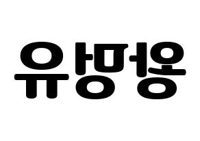 KPOP idol NATURE  오로라 (Wang Meng-yu, Aurora) Printable Hangul name fan sign, fanboard resources for light sticks Reversed