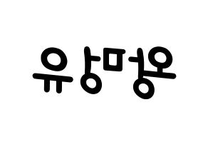 KPOP idol NATURE  오로라 (Wang Meng-yu, Aurora) Printable Hangul name fan sign, fanboard resources for light sticks Reversed