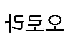 KPOP idol NATURE  오로라 (Wang Meng-yu, Aurora) Printable Hangul name fan sign, fanboard resources for LED Reversed