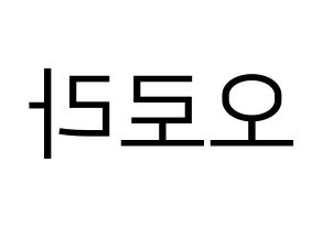 KPOP idol NATURE  오로라 (Wang Meng-yu, Aurora) Printable Hangul name fan sign, fanboard resources for LED Reversed