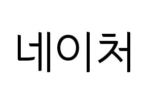 KPOP idol NATURE Printable Hangul fan sign, fanboard resources for light sticks Normal