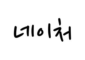 KPOP idol NATURE Printable Hangul fan sign, concert board resources for LED Normal