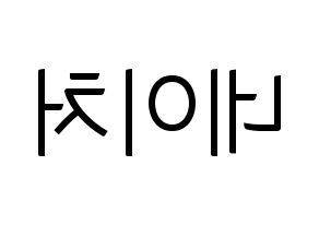 KPOP idol NATURE Printable Hangul fan sign, fanboard resources for light sticks Reversed