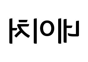 KPOP idol NATURE Printable Hangul fan sign & fan board resources Reversed