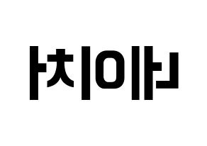 KPOP idol NATURE Printable Hangul fan sign & fan board resources Reversed