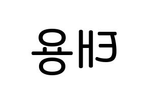 KPOP idol NCT  태용 (Lee Tae-yong, Taeyong) Printable Hangul name Fansign Fanboard resources for concert Reversed