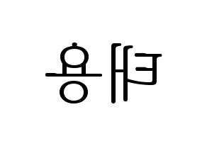 KPOP idol NCT  태용 (Lee Tae-yong, Taeyong) Printable Hangul name fan sign & fan board resources Reversed
