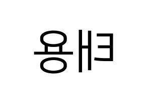 KPOP idol NCT  태용 (Lee Tae-yong, Taeyong) Printable Hangul name fan sign, fanboard resources for LED Reversed