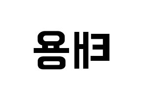 KPOP idol NCT  태용 (Lee Tae-yong, Taeyong) Printable Hangul name fan sign, fanboard resources for concert Reversed