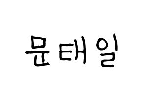 KPOP idol NCT  태일 (Moon Tae-il, Taeil) Printable Hangul name fan sign, fanboard resources for light sticks Normal