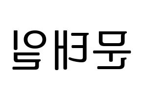KPOP idol NCT  태일 (Moon Tae-il, Taeil) Printable Hangul name fan sign, fanboard resources for LED Reversed