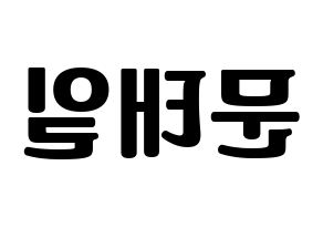 KPOP idol NCT  태일 (Moon Tae-il, Taeil) Printable Hangul name fan sign, fanboard resources for light sticks Reversed