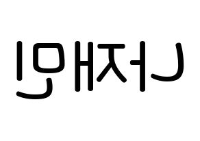 KPOP idol NCT  재민 (Na Jae-min, Jaemin) Printable Hangul name Fansign Fanboard resources for concert Reversed