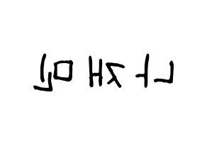 KPOP idol NCT  재민 (Na Jae-min, Jaemin) Printable Hangul name fan sign, fanboard resources for light sticks Reversed