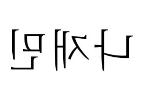 KPOP idol NCT  재민 (Na Jae-min, Jaemin) Printable Hangul name fan sign & fan board resources Reversed