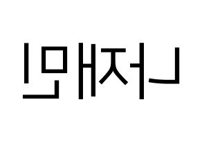 KPOP idol NCT  재민 (Na Jae-min, Jaemin) Printable Hangul name fan sign, fanboard resources for LED Reversed