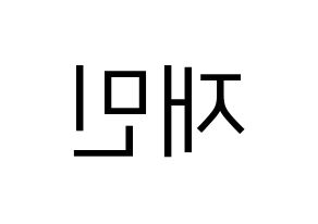 KPOP idol NCT  재민 (Na Jae-min, Jaemin) Printable Hangul name fan sign, fanboard resources for LED Reversed