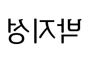 KPOP idol NCT  지성 (Park Ji-sung, Jisung) Printable Hangul name fan sign, fanboard resources for LED Reversed