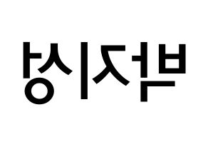 KPOP idol NCT  지성 (Park Ji-sung, Jisung) Printable Hangul name Fansign Fanboard resources for concert Reversed