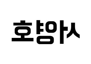 KPOP idol NCT  쟈니 (Suh Young-ho, Johnny) Printable Hangul name fan sign, fanboard resources for concert Reversed