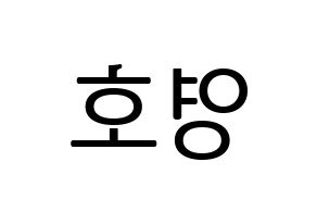 KPOP idol NCT  쟈니 (Suh Young-ho, Johnny) Printable Hangul name fan sign, fanboard resources for LED Reversed