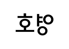 KPOP idol NCT  쟈니 (Suh Young-ho, Johnny) Printable Hangul name Fansign Fanboard resources for concert Reversed