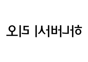 KPOP idol NiziU  리오 (Hanabashi Rio, Rio) Printable Hangul name Fansign Fanboard resources for concert Reversed