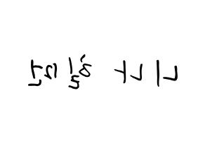 KPOP idol NiziU  니나 (Hilman Nina, Nina) Printable Hangul name fan sign, fanboard resources for concert Reversed