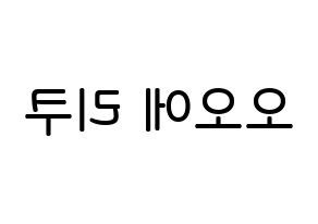 KPOP idol NiziU  리쿠 (Oe Riku, Riku) Printable Hangul name Fansign Fanboard resources for concert Reversed