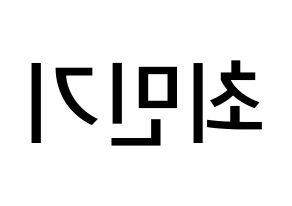 KPOP idol NU'EST  렌 (Choi Min-gi, REN) Printable Hangul name Fansign Fanboard resources for concert Reversed