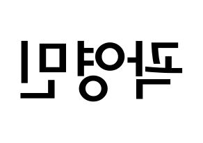 KPOP idol NU'EST  아론 (Gwag Young-min, ARON) Printable Hangul name Fansign Fanboard resources for concert Reversed