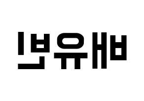 KPOP idol OH MY GIRL  비니 (Bae Yu-bin, Binnie) Printable Hangul name fan sign, fanboard resources for concert Reversed