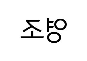 KPOP idol ONEUS  레이븐 (Kim Young-jo, Ravn) Printable Hangul name fan sign, fanboard resources for light sticks Reversed