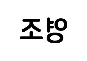 KPOP idol ONEUS  레이븐 (Kim Young-jo, Ravn) Printable Hangul name fan sign, fanboard resources for concert Reversed
