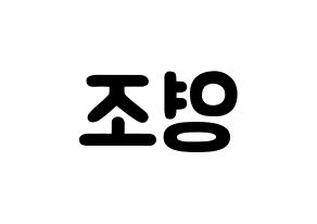 KPOP idol ONEUS  레이븐 (Kim Young-jo, Ravn) Printable Hangul name fan sign & fan board resources Reversed
