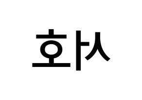 KPOP idol ONEUS  서호 (Lee Seo-ho, Seoho) Printable Hangul name Fansign Fanboard resources for concert Reversed