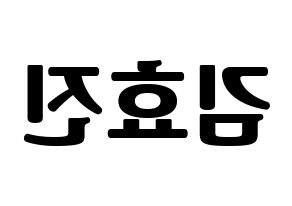 KPOP idol ONF  효진 (Kim Hyo-jin, Hyojin) Printable Hangul name fan sign, fanboard resources for light sticks Reversed