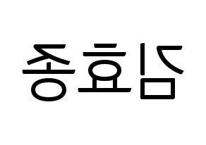KPOP idol PENTAGON  이던 (Kim Hyo-jong, E'Dawn) Printable Hangul name fan sign, fanboard resources for light sticks Reversed