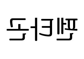 KPOP idol PENTAGON Printable Hangul fan sign, fanboard resources for LED Reversed