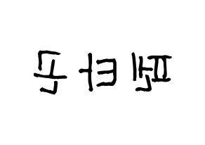 KPOP idol PENTAGON Printable Hangul Fansign concert board resources Reversed