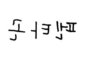 KPOP idol PENTAGON Printable Hangul fan sign, concert board resources for light sticks Reversed