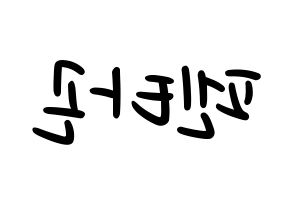 KPOP idol PENTAGON Printable Hangul fan sign, concert board resources for LED Reversed