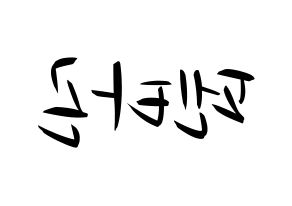 KPOP idol PENTAGON Printable Hangul fan sign, concert board resources for light sticks Reversed