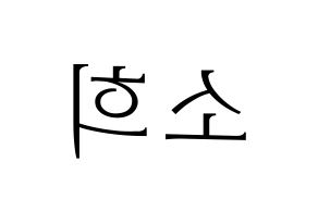 KPOP idol RCPC  소희 (Kim So-hee, Sohee) Printable Hangul name fan sign & fan board resources Reversed